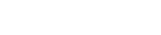 BRN-LOGO_WHT
